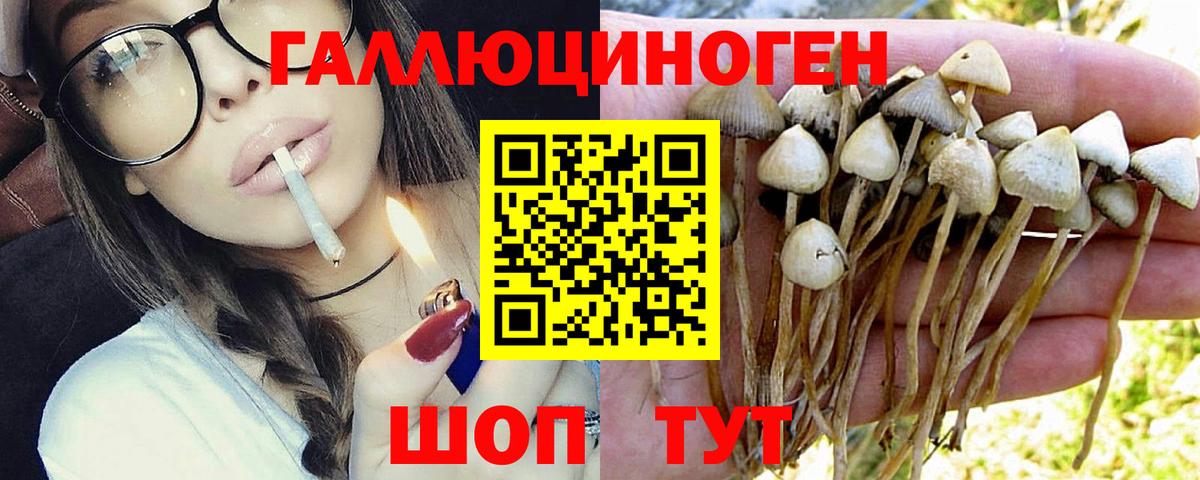 где найти   Вход с VPN  Нарткала  Псилоцибиновые грибы Magic Shrooms 